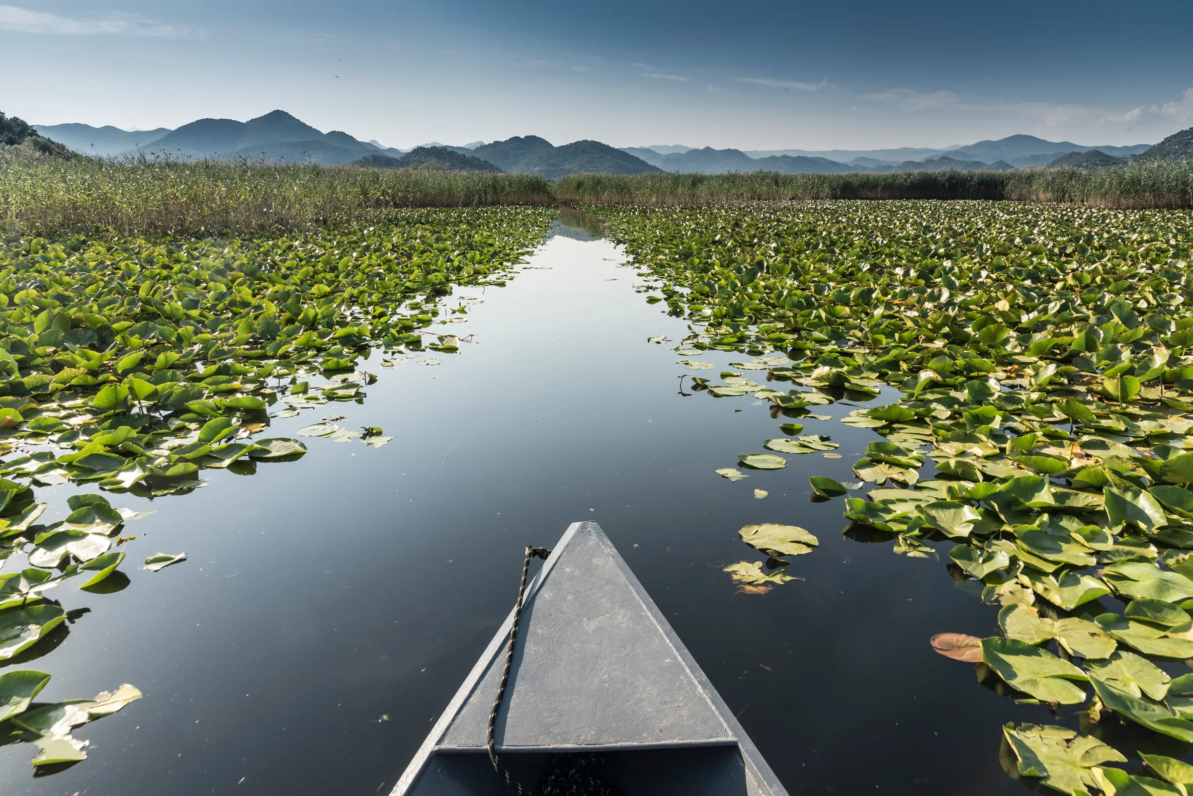 Lake Skadar landscape